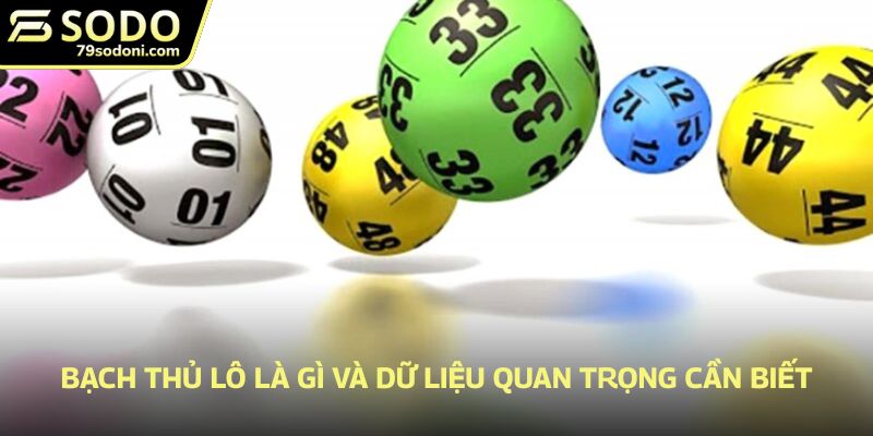 Bạch thủ lô là gì và dữ liệu quan trọng cần biết